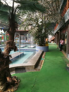 怀来沙城温泉农家院哪家好