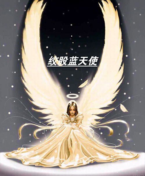 雪天使全集