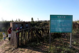 奥村沙