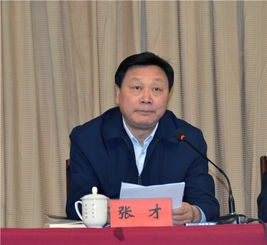 张才，张才芳