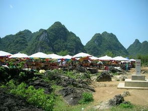 求异国阴宅2020年网盘在线观看资源,索佩·迪瑞苏主演的