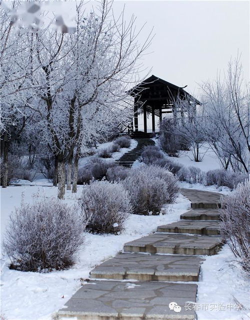 绝世战魂轻雪配音演员是谁