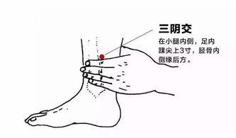 谁有鸡米饭的后穴升级系统txt
