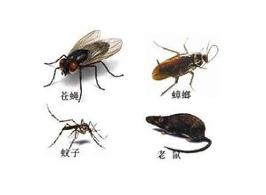 请问害虫的综合防治有哪些方法?
