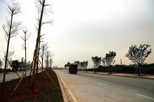 步长60厘米一路半公里,能走多少步?