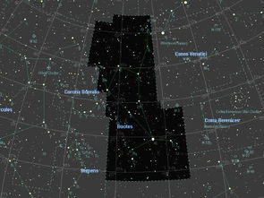 牧夫座是什么座