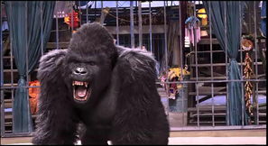 炬猩，炬猩app官网