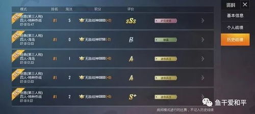 手机上吃鸡最高段位是