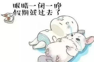 一去不返，一去不返歌曲