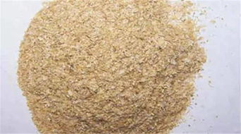 鱼饵的制作方法，鱼饵的制作方法原神