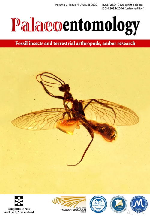 地下城堡3异域古虫怎么得