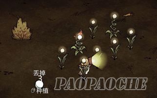 饥荒发光的浆果代码