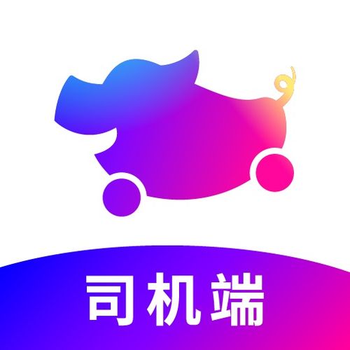 花小猪司机端，花小猪司机端下载