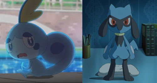 口袋妖怪究极绿宝石5泪眼蜥在哪抓