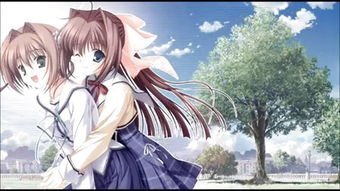 花衣魔笛手的介绍