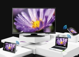 笔记本电脑怎么和手机同屏