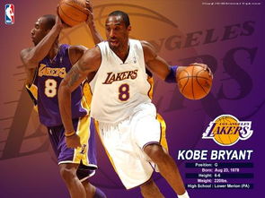 美国篮球nba，美国篮球nba人员名单