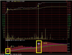 电脑如何下载通达信炒股软件
