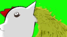 宝可梦钻石沼王怎么打