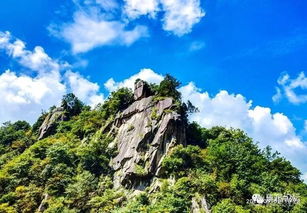 安家中楼山关的身份是什么?