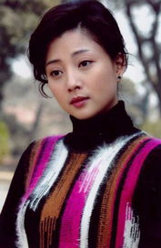 殷桃孙俪，殷桃孙俪主演的电视剧