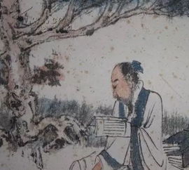 折节读书是什么意思 折节读书的意思