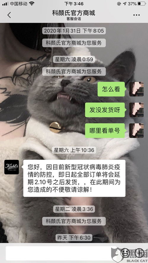 黑猫投诉平台