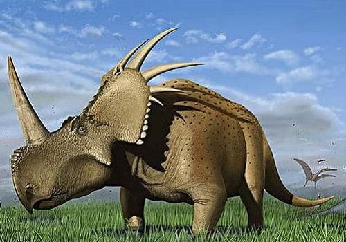 能不能给我《史前世界》纪录片观后感?