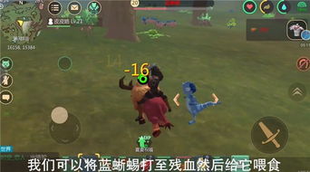 创造与魔法蓝蜥蜴位置，创造与魔法蓝蜥蜴位置图