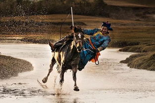 跑马的汉子,威武雄壮,是哪首歌里的歌词