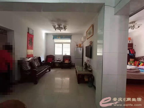 绍兴E网论坛的联系方式是什么?