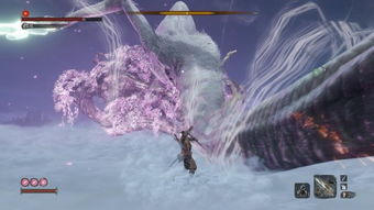 樱龙，樱龙为什么少了一只手