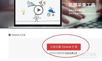 花瓣采集器，花瓣采集器安装