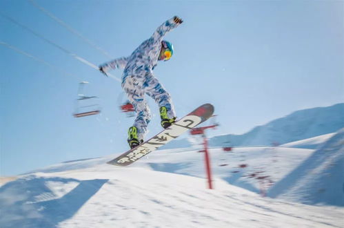 播放冬奥会花样滑雪的地方在哪长什么样