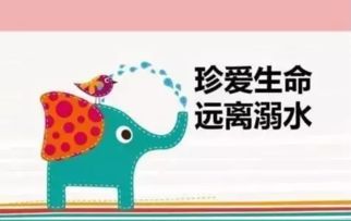 中小学生学习平台，国家中小学智慧教育平台