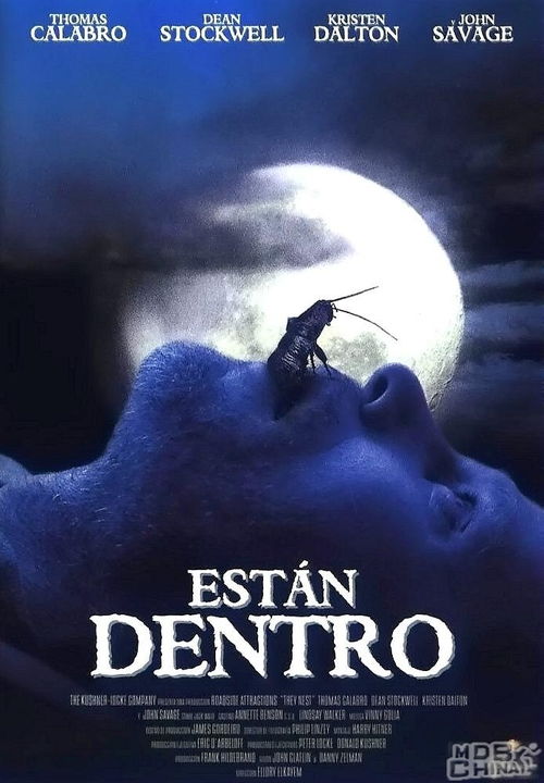 吸血甲虫，吸血甲虫电影观看