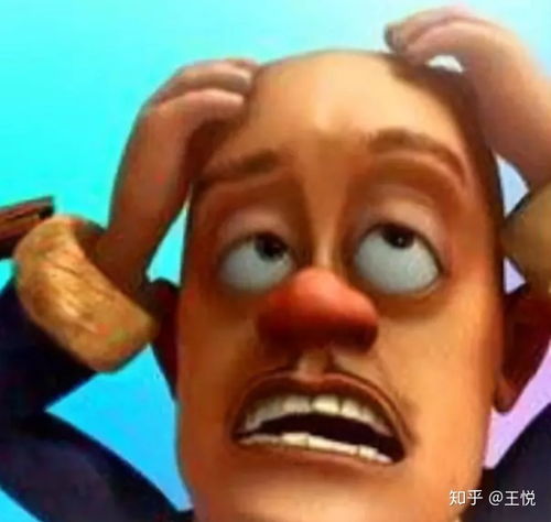 熊出没一共有多少部?