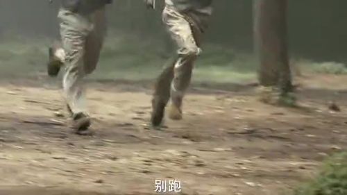 老鼠看到猫时会疯狂逃命,属于先天性行为么?