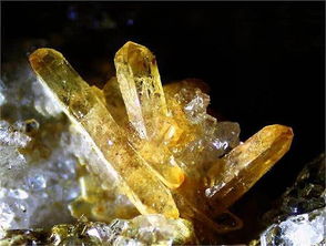 被白磷弹击中如何自救