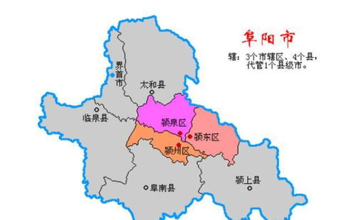 大市，大市场是指市场规模大