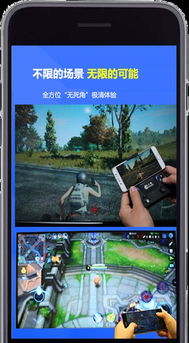 吃鸡手机排行榜第一名