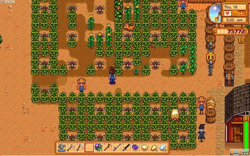 星露谷物语怎么设置中文，steam星露谷物语怎么设置中文