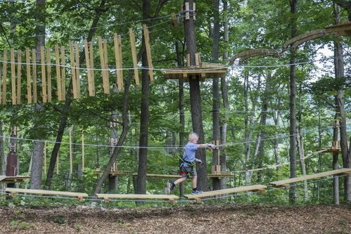 榕树长什么样子图片