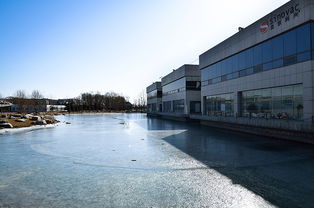 北大未名的介绍