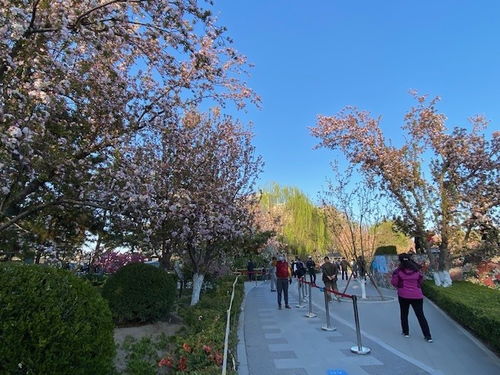 海棠官网怎么进?