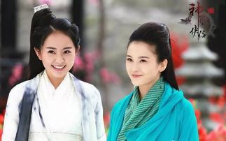 新神雕侠侣，新神雕侠侣2022