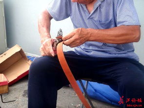 老头环壁纸，老头环壁纸高清