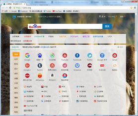 为什么我上龙卷风浏览器3.91 - CHROME49 - 绿色版电脑会蓝屏_百度知 