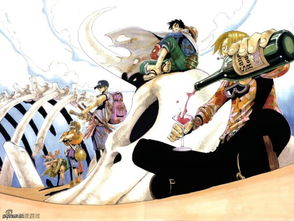 路飞的海贼团有哪几个