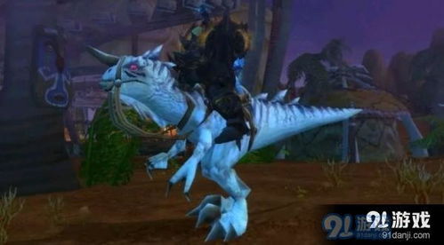 魔兽世界在哪里可以刷到坐骑!